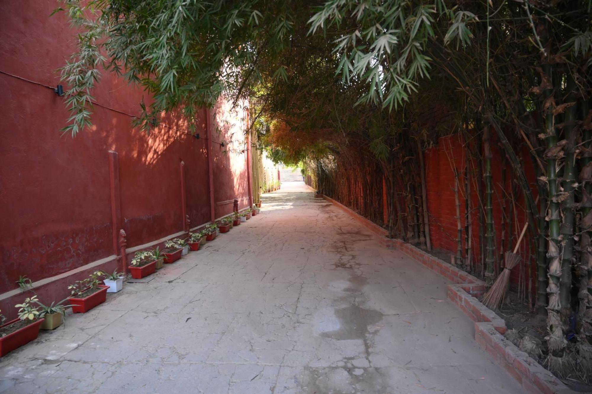 Raja Ka Bagh - A Boutique Hotel Nurpur Exterior photo